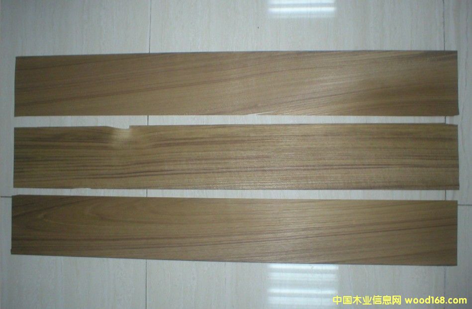 泰柚的詳細(xì)介紹