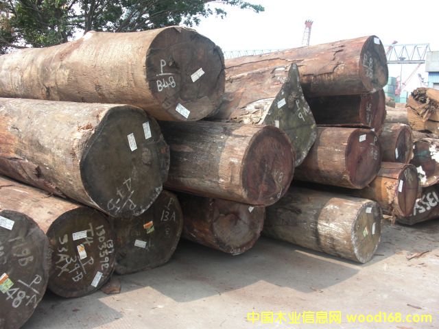 ����ľ��Ԕ��(x��)��B