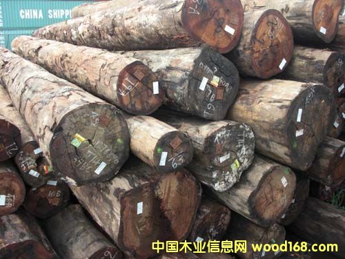 �������}���Ԕ��(x��)��B