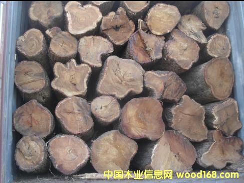 ���޻���ľ��Ԕ��(x��)��B