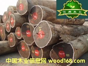 ���u��ľ��Ԕ��(x��)��B