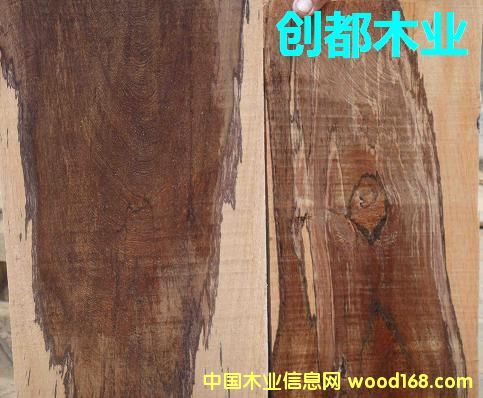 ����Ɲ�S̴��Ԕ��(x��)��B