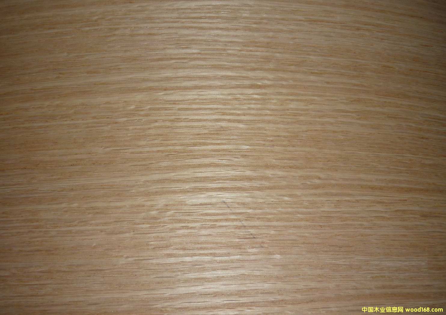 0.5�t��ֱ�y��Ԕ����B