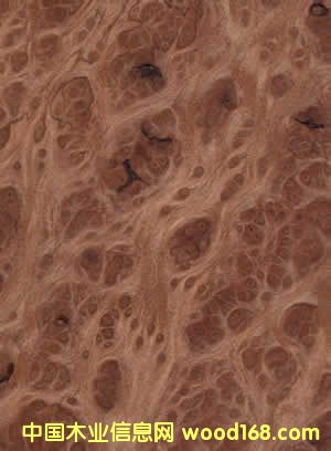 �L(zh��ng)�~���研(�tľ����)