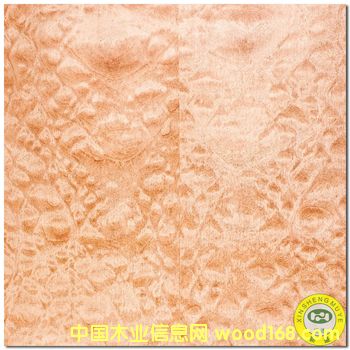 ��yɳ����