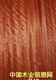 ������֬�Kľ