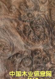 �ں��Ҙ���