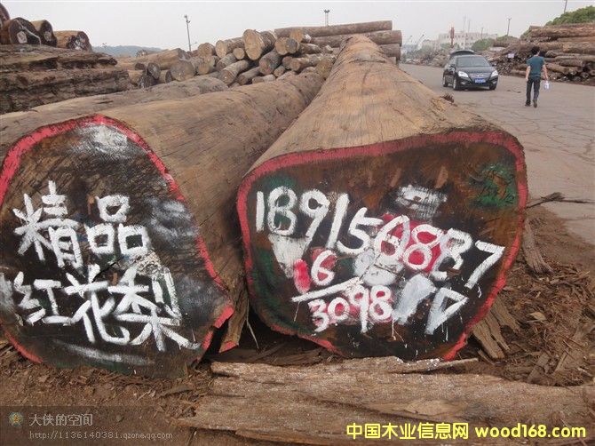 �t�����Ԕ��(x��)��B