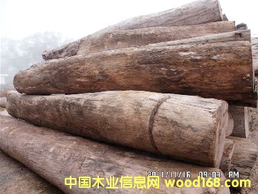 �ϓ���֦ԭľ��Ԕ��(x��)��B