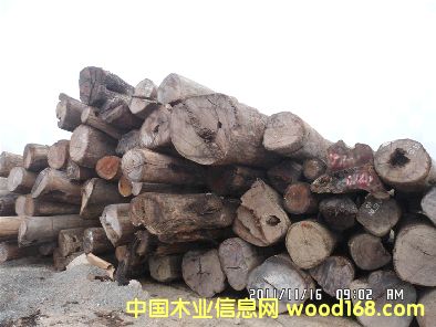 �ϓ���֦ԭľ��Ԕ��(x��)��B