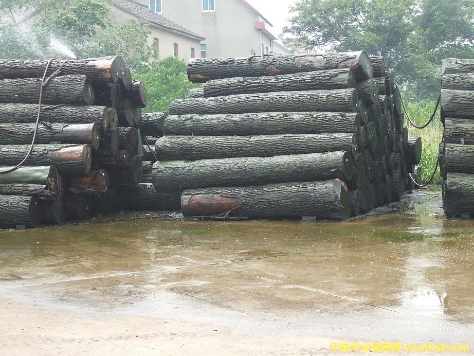 �����ں��ұ���ԭľ�ӹ���(j��)��Ԕ��(x��)��B