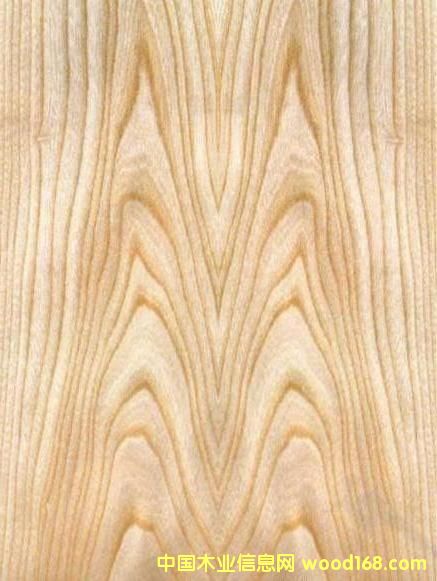 FSCˮ������Ԕ��(x��)��B