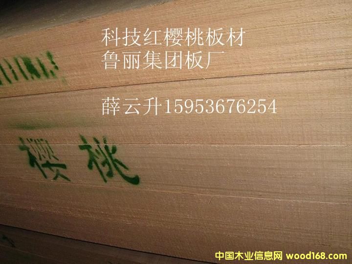 �Ƽ�ľ�t����