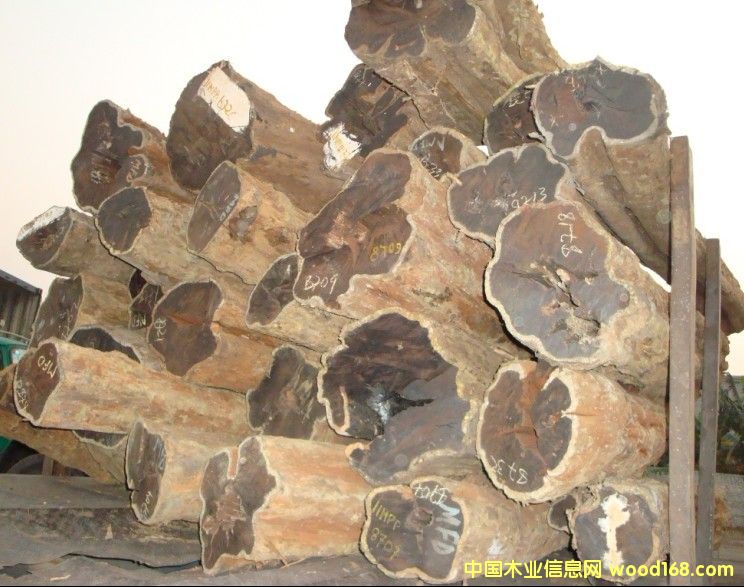 �Ϲ�̴��Ԕ����B