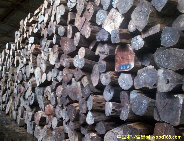 ��֦��Ԕ����B