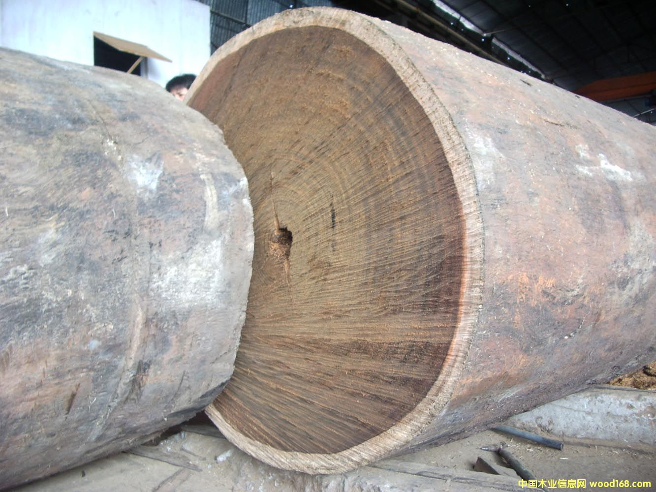 ���}���Ԕ����B