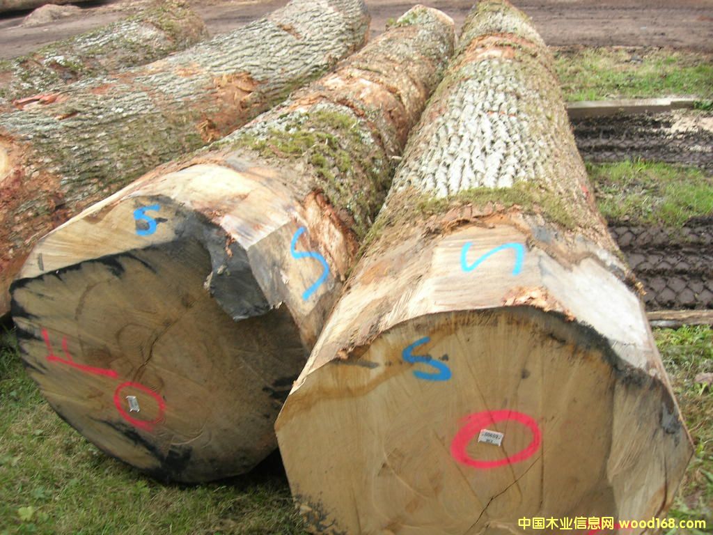 �W��ԭľ��Ԕ��(x��)��B