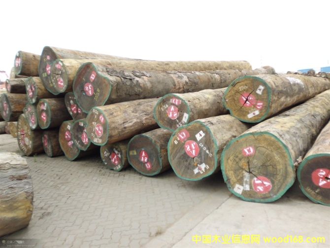 塔利的詳細介紹