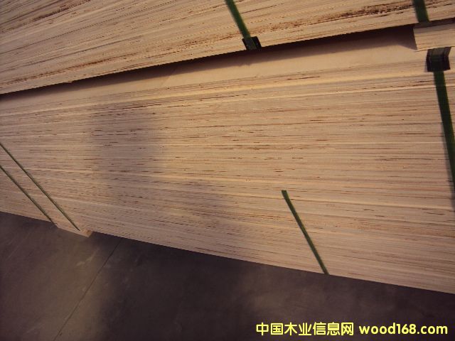 �����N�۰��b�×�ľ�ӷe��LVL��Ԕ����B