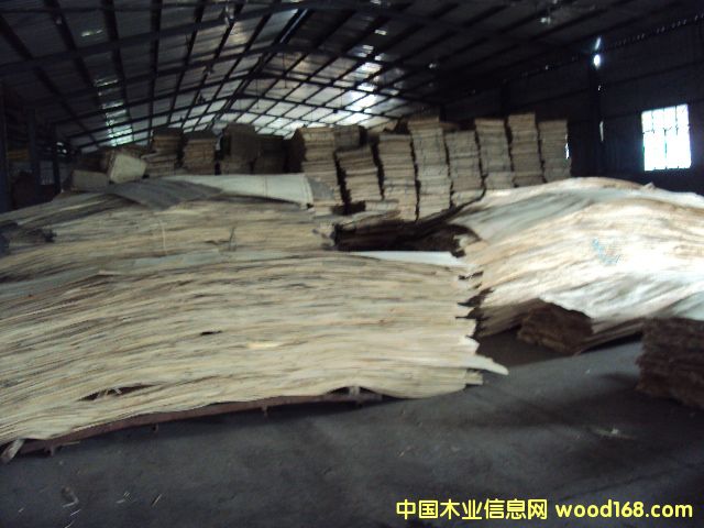 �������|���ӷe�ė�ľLVL��Ԕ����B