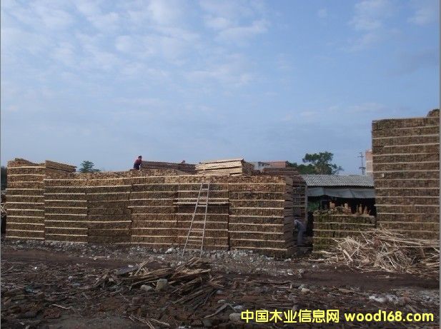 ����ľ����Ԕ��(x��)��B