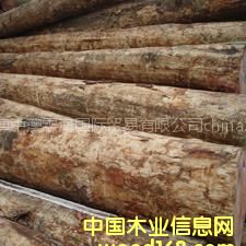 ���l(f��)��(y��u)�|(zh��)�M(j��n)�ڟo(w��)��(ji��)��ݗ����ԭľ