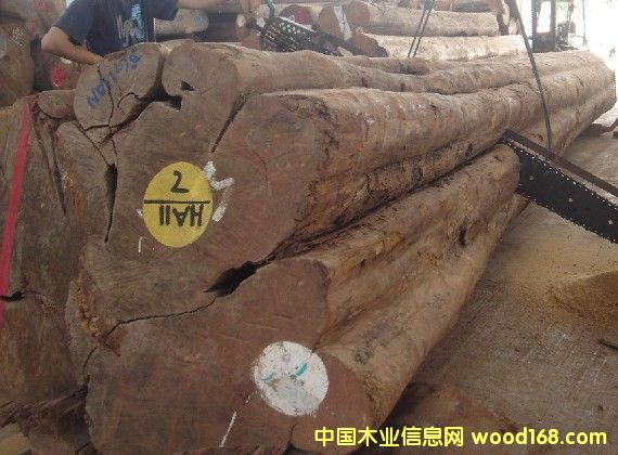 �ش���ľԭľ��Ԕ��(x��)��B