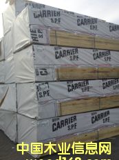 #3 SPF CARRIER��Ԕ����B