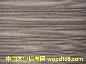 黑胡桃的詳細(xì)介紹