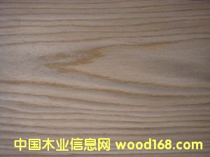 412559851.jpg��Ԕ��(x��)��B