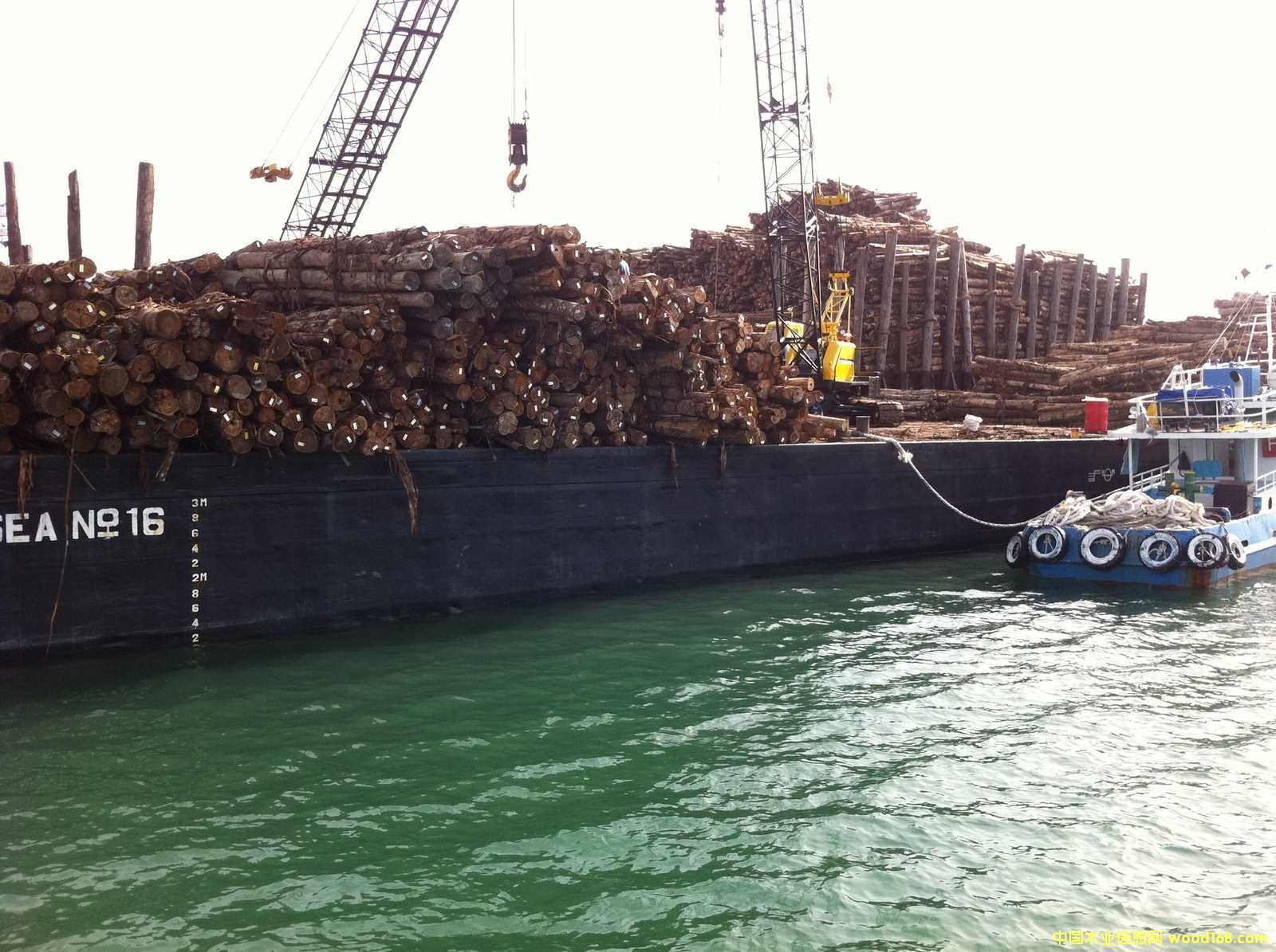 ��˼ԭ��(sh��)ͩ��Ԕ��(x��)��B