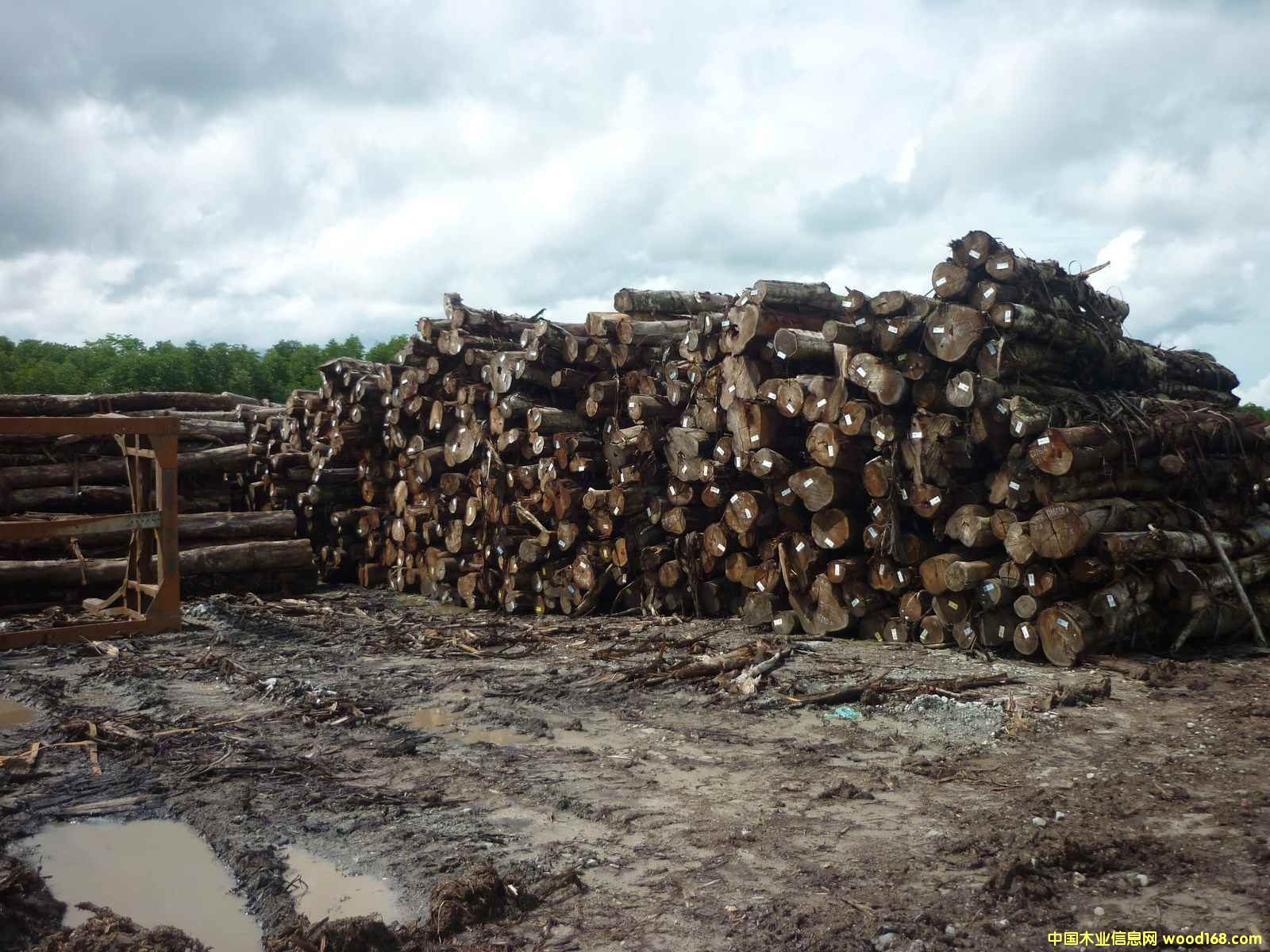 ��˼ľԭľͩ��Ԕ��(x��)��B