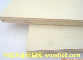 全楊木木板材的詳細(xì)介紹