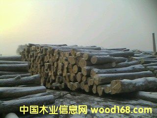 �؃�(y��u)��ľ