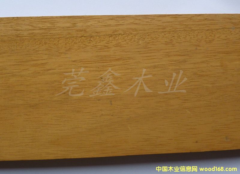 乳桑的詳細(xì)介紹