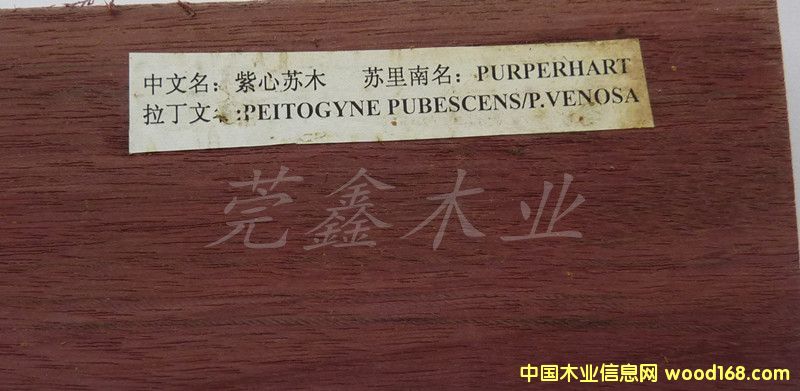 �����Kľ��Ԕ��(x��)��B