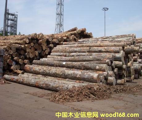 ����ݗ����ԭľ��Ԕ��(x��)��B