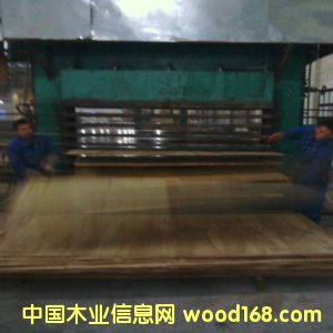 E0�o(w��)ȩ��(x��)ľ�����Ԕ��(x��)��B