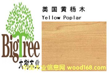 �����S��ľ��Ԕ��(x��)��B