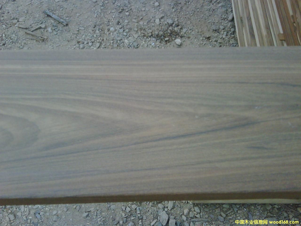 伊貝的詳細(xì)介紹