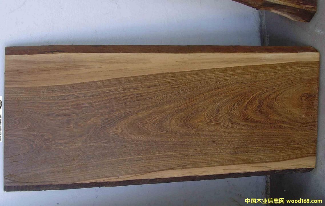 南美黑檀的詳細(xì)介紹