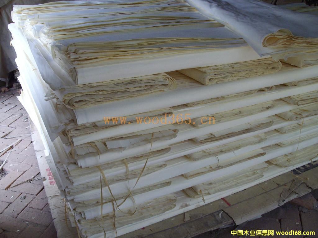 ��ľƯ�׆ΰ��Ԕ��(x��)��B