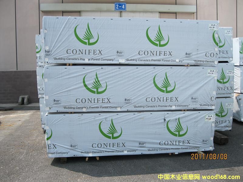 加松的詳細(xì)介紹