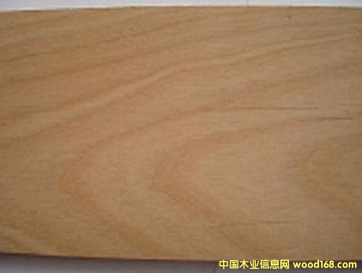 ��������ľ��Ԕ����B