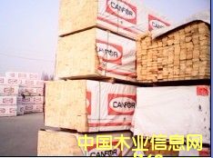 ����ľ����Ԕ��(x��)��B