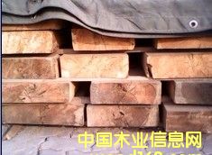 �t�ɷ���ľ