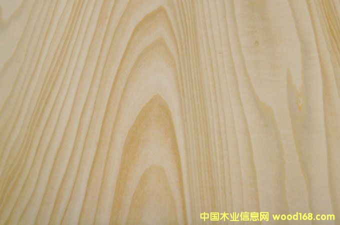 �ľ�N��ľƤ��Ԕ��(x��)��B