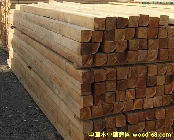 ɼľ����Ԕ��(x��)��B