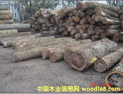 �����ں��ҵ�Ԕ��(x��)��B