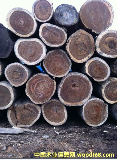 ���Rľ��Ԕ��(x��)��B